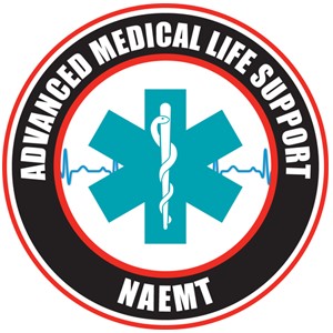 Advanced Medical Life Support Course (UK edition)